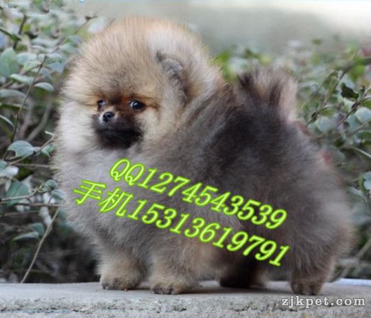 2_124213_4918233853114e7_副本.jpg