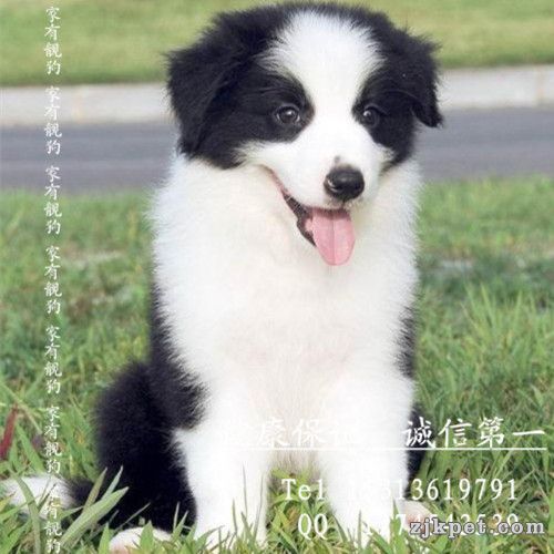 2_124216_8514a0aca0ad3cd_副本.jpg