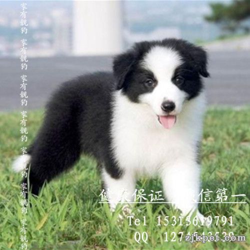 2_124216_bdba4acae4fa48e_副本.jpg