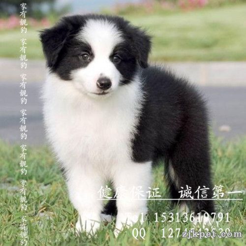 2_124216_c8ee632f292a434_副本.jpg