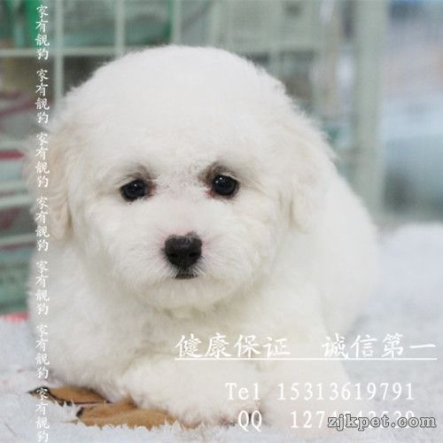 psbCAWMS7L9_副本.jpg