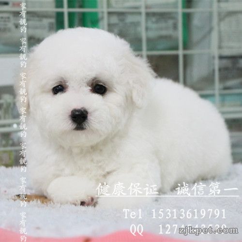 psbCA5CSN96_副本.jpg