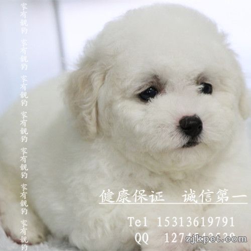 psbCAEH8ZLZ_副本.jpg