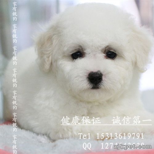 psbCAH5HMHU_副本.jpg