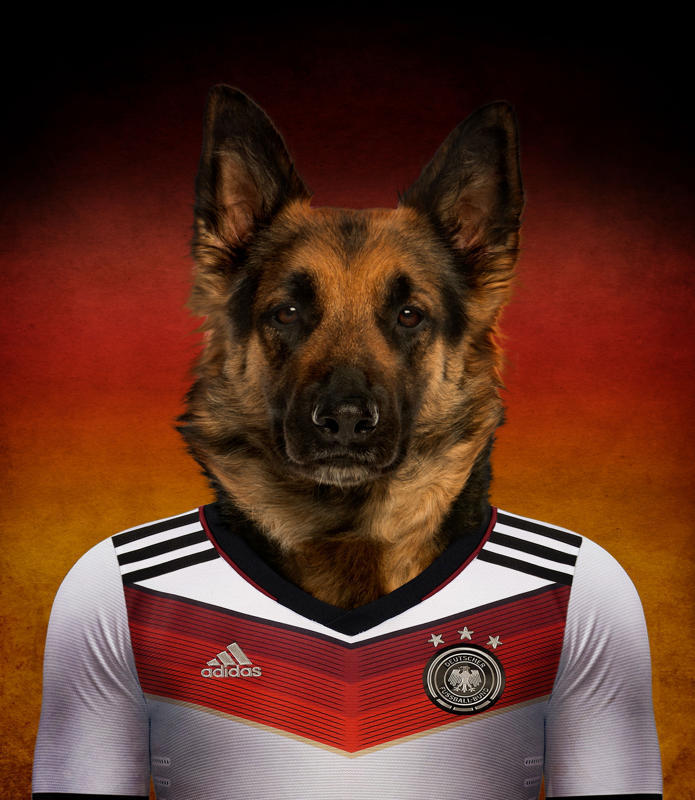 德国 德国牧羊犬.jpg