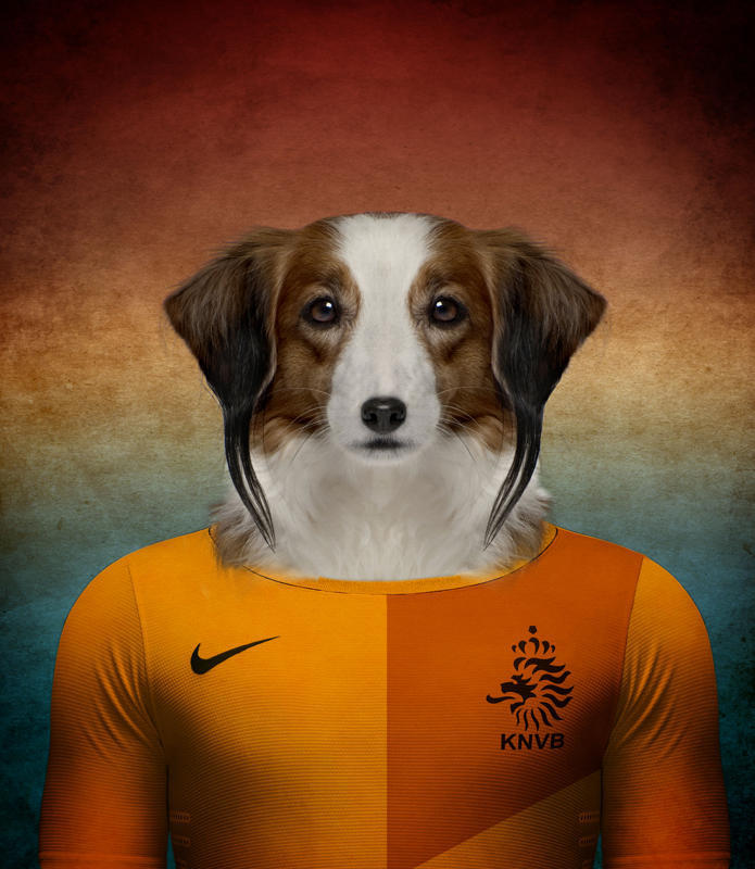 荷兰 蝴蝶犬.jpg