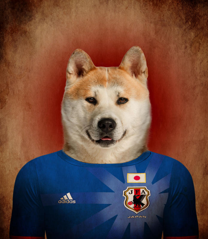 日本 秋田犬.jpg