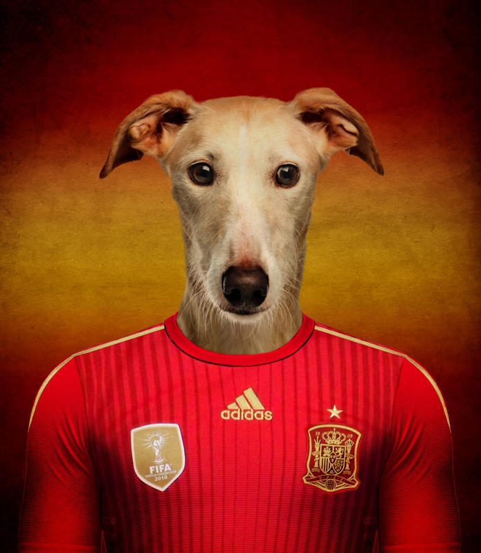 西班牙 灵缇犬.jpg