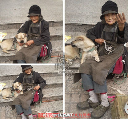 重庆新桥医院一角,一位80多岁的婆婆,带一只狗狗,安静的坐在路边,帮小狗梳毛,乞讨瓷杯里有几元钱,见有人路过 ...