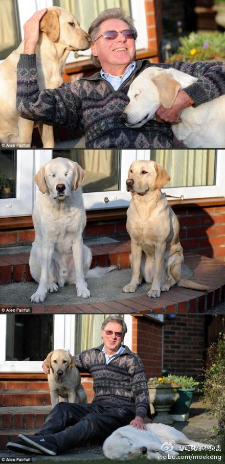 Waspe先生是个盲人，导盲犬陪伴了他六年。后来，狗狗的眼睛因病失明……后来， Waspe先生又养了一只导盲犬  ...