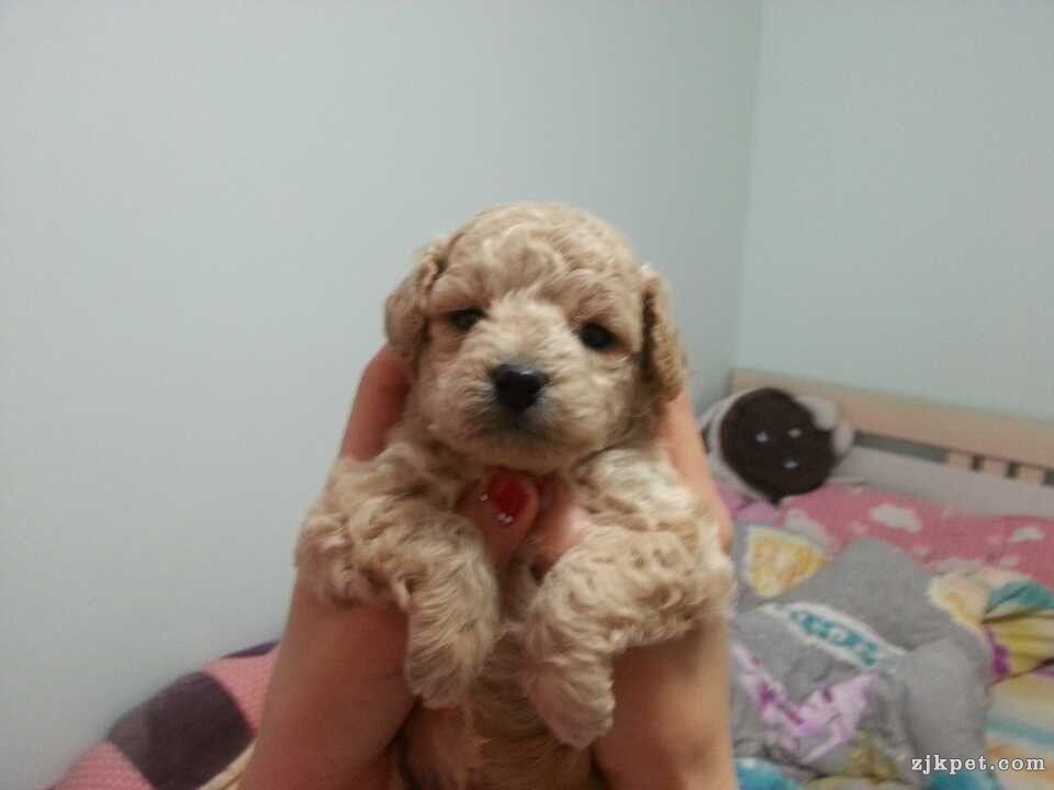 QQ图片20140414092921.jpg