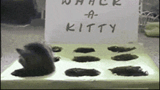 460.gif