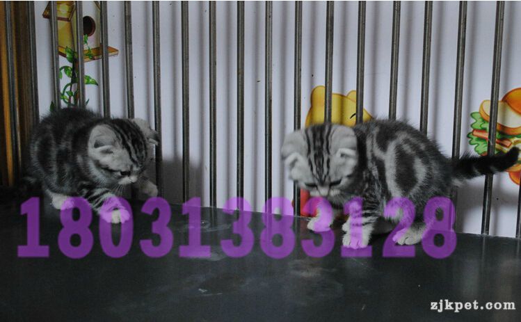 QQ截图20140606114305_副本.jpg