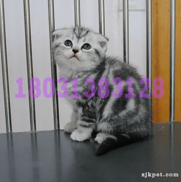 QQ截图20140606114239_副本.jpg