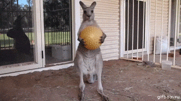 65204274201406112036094086960890846_021.gif