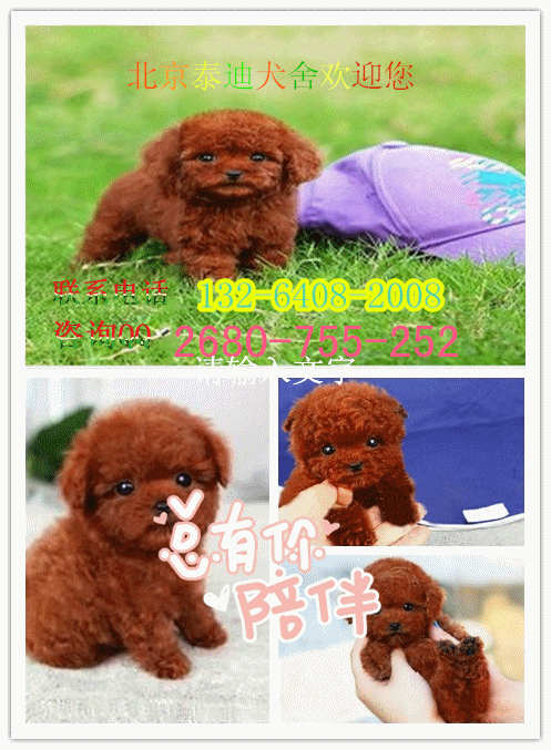 initpintu_副本.gif