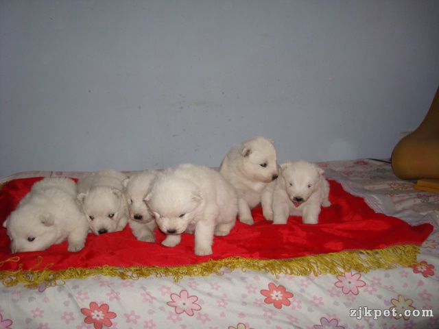 DSC02765.JPG