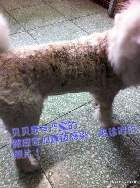 第一天来诊时的照片