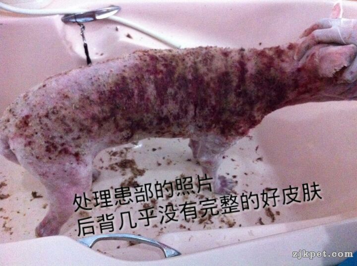处理掉结痂的照片