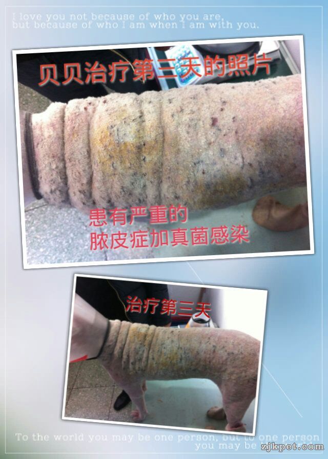 治疗第三天的照片，有了明显好转的效果