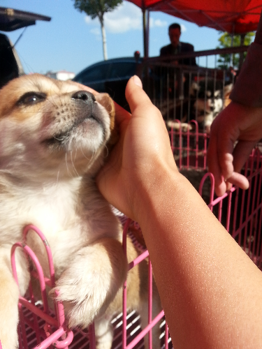 20150520_085603.jpg