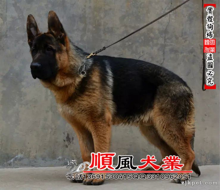 694_副本.jpg