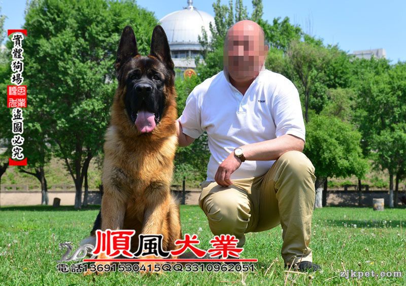 20150528084007612_副本.jpg