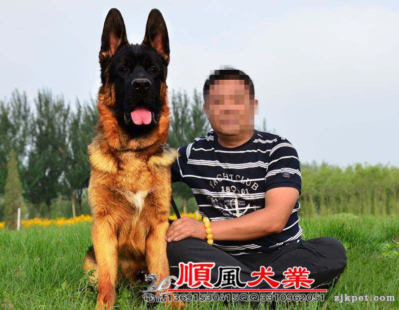 20150818034318436_副本.jpg