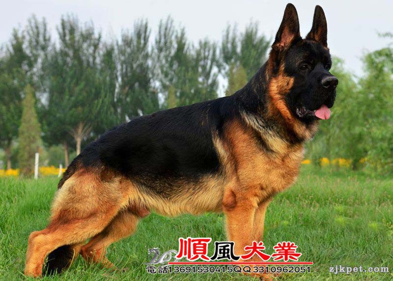 20150818034228357.jpg