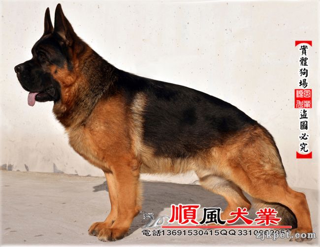20140120112245375.jpg