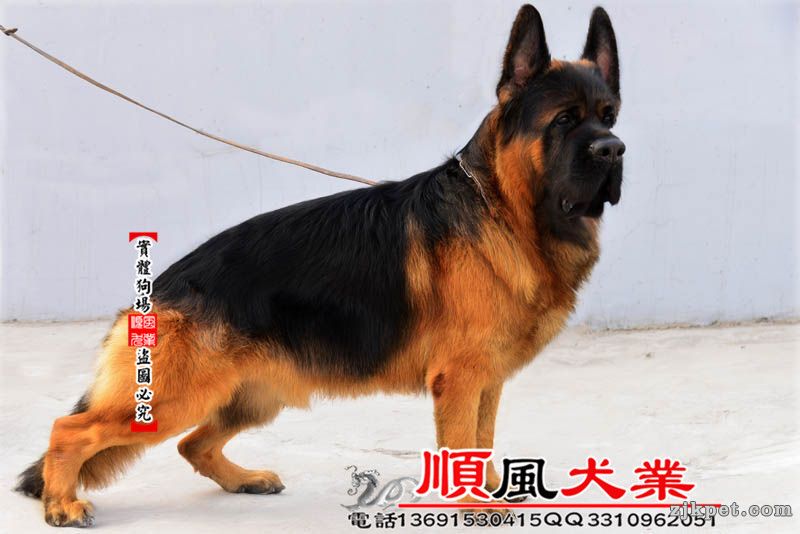 20141210104010327.jpg