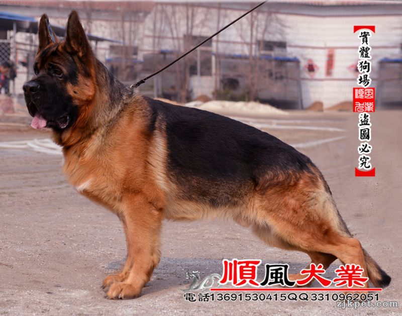 20140324091533687_副本.jpg