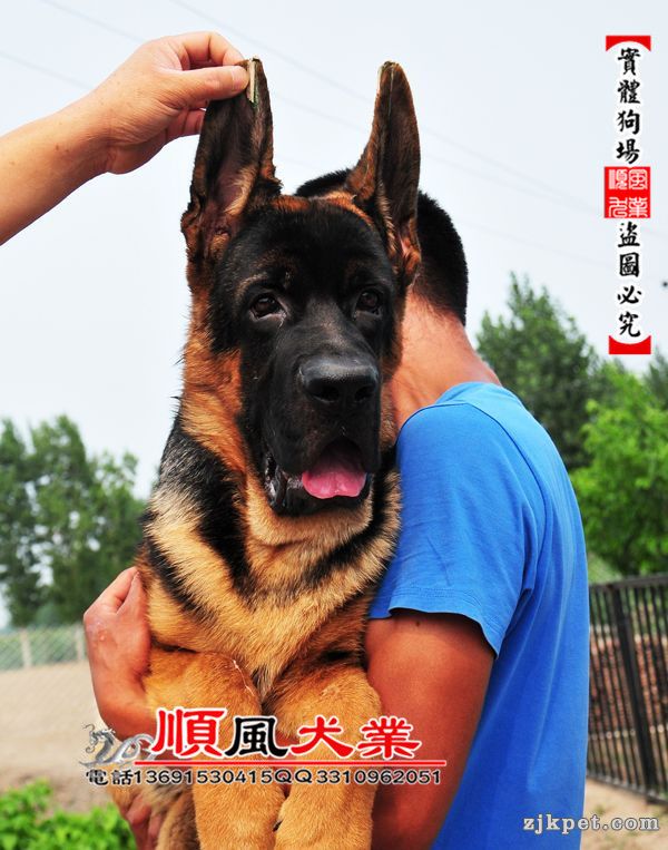 20150713024336606.jpg