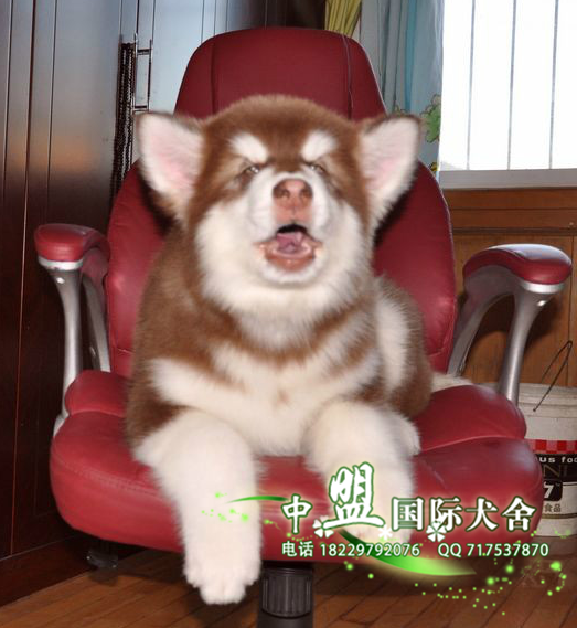 QQ截图20150912202958.png