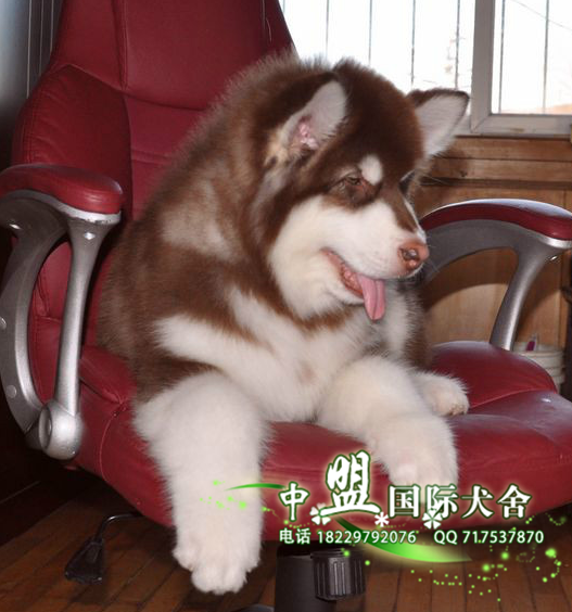 QQ截图20150912203016.png