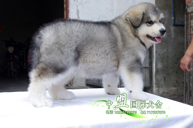 QQ截图20150912203044.png