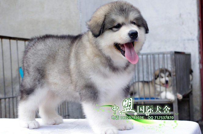 QQ截图20150912203108.png