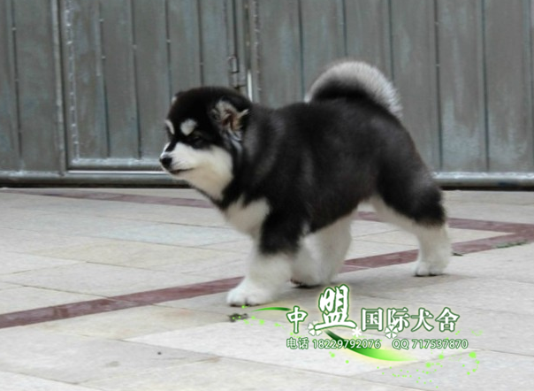 QQ截图20150912203209.png