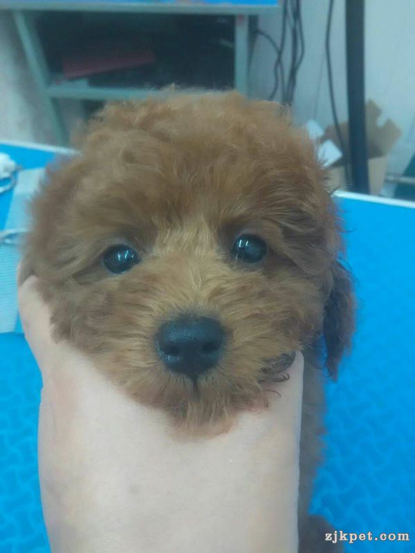 15107