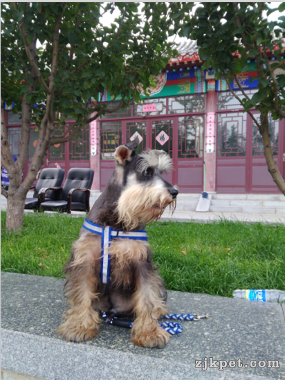 QQ图片20160911183947.png