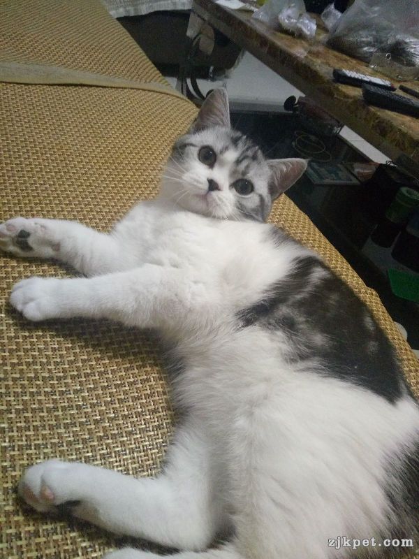 17097