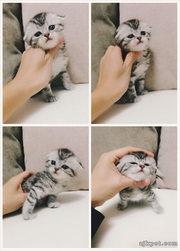 17639