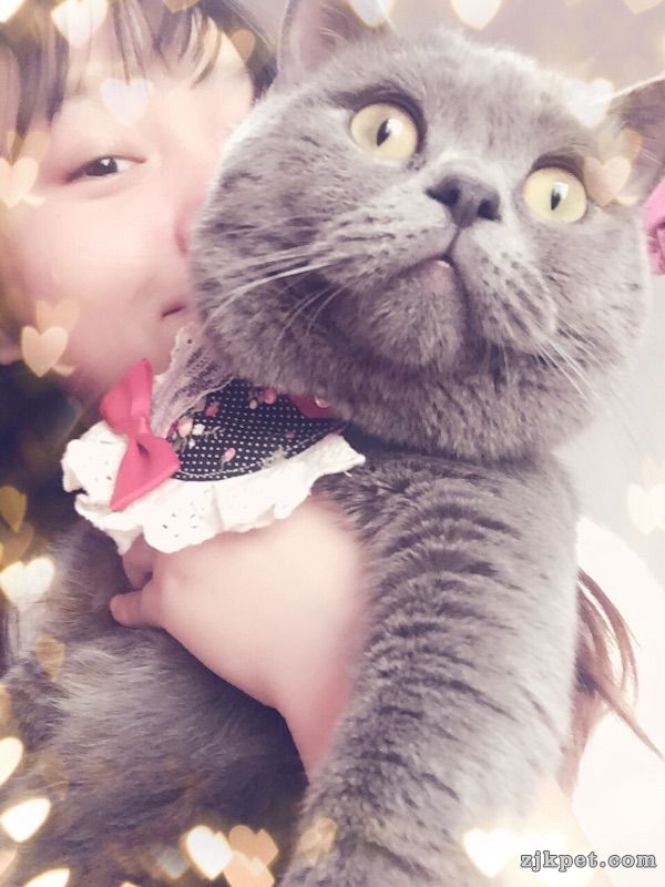 18056