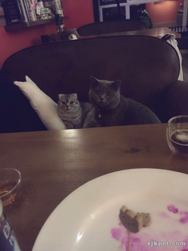 18058