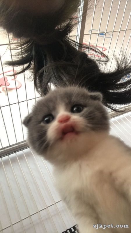 18252