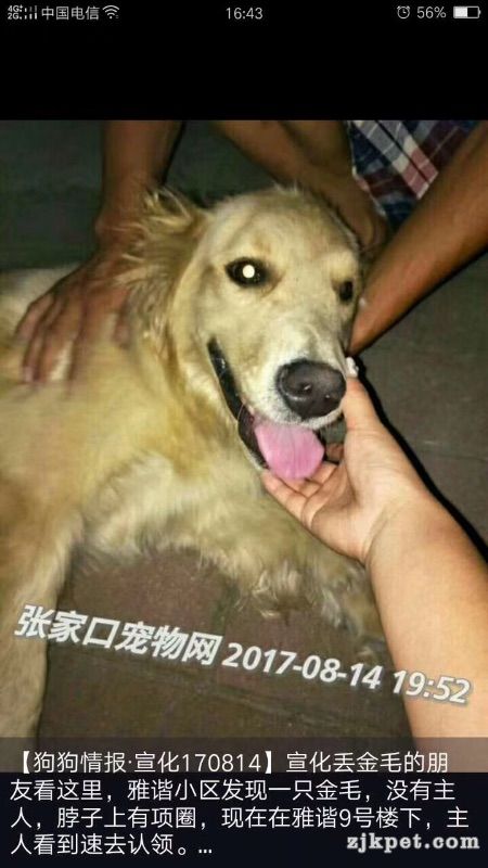 18561