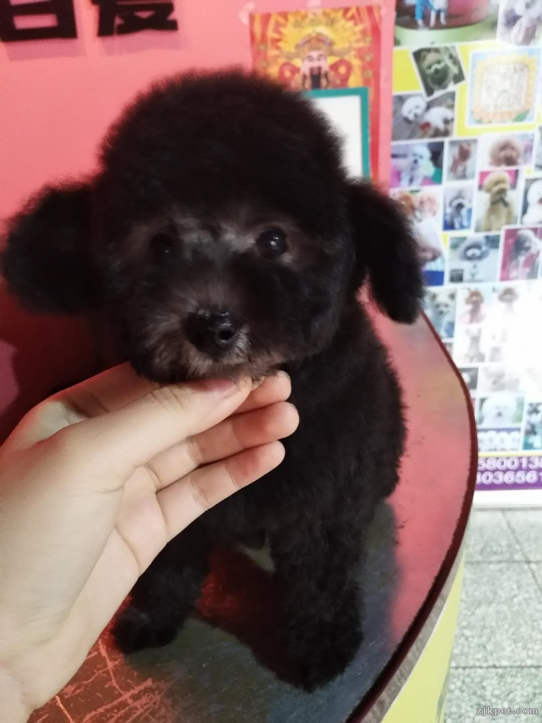 微信图片_201801041532151.jpg