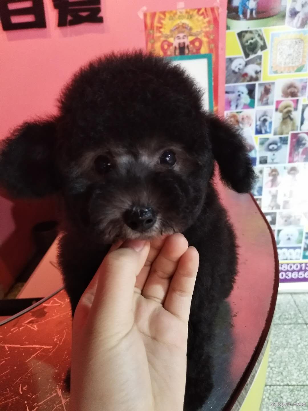 微信图片_201801041532152.jpg