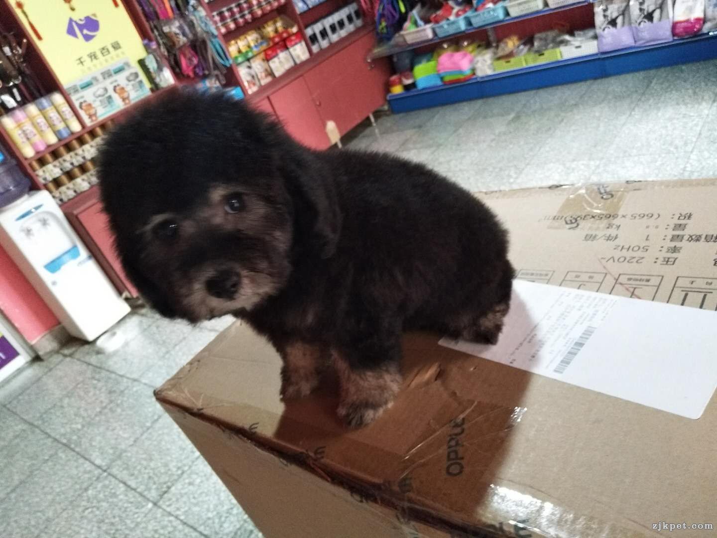 微信图片_201801041532157.jpg