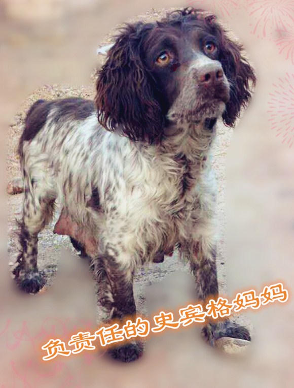 微信图片_20180321182048_副本.jpg